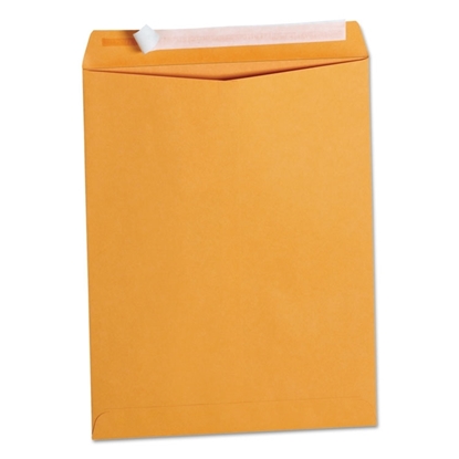 Peel Seal Strip Catalog Envelope, Kraft, 100/Box, 10 x 13