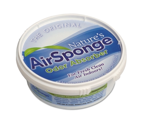 Odor-Absorbing Replacement Sponge, Neutral, Blue/White